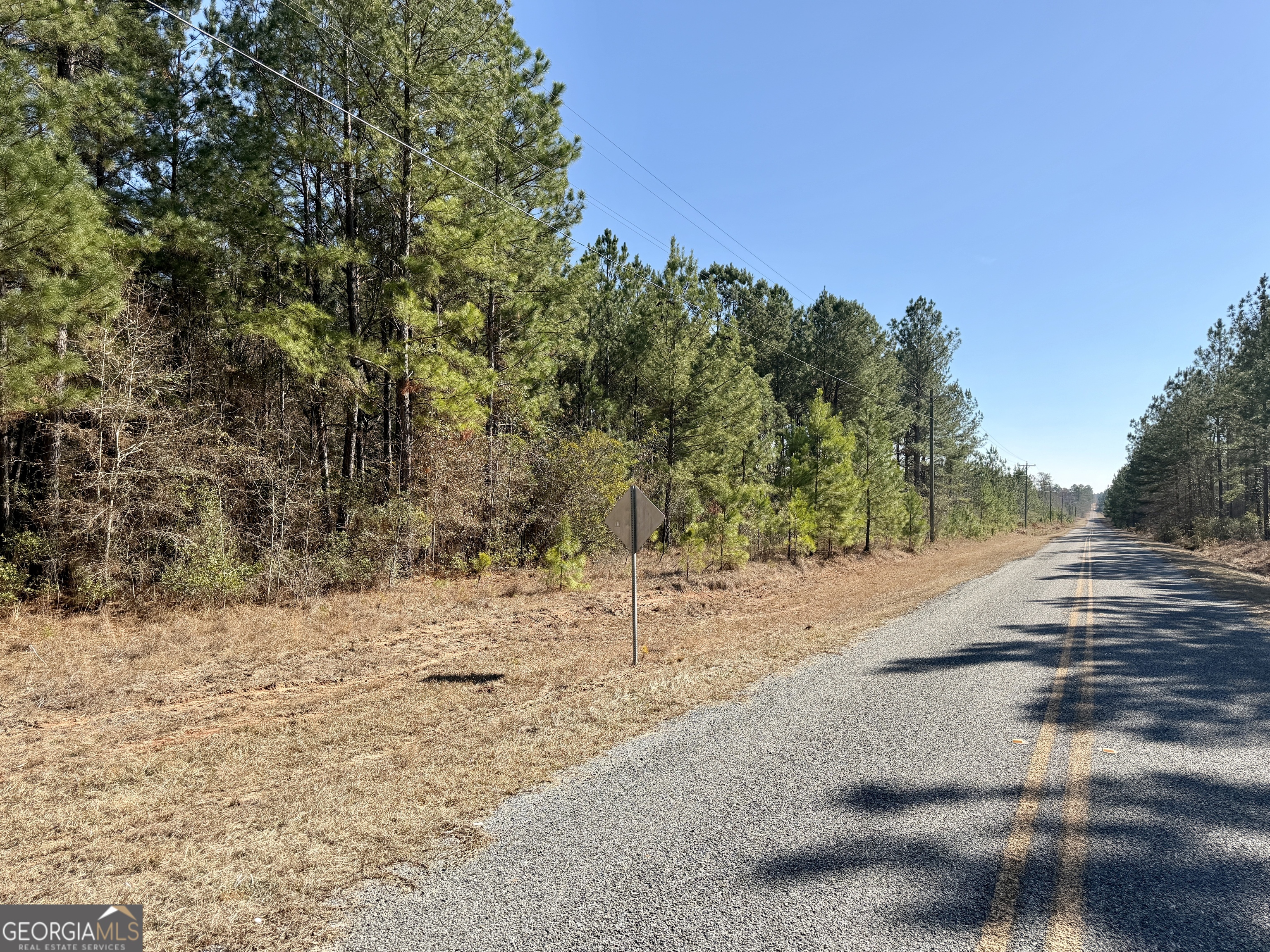 0 NORTH Shady Grove Road Abbeville, GA 31001 - Photo 4 of 21 a view of empty space with trees