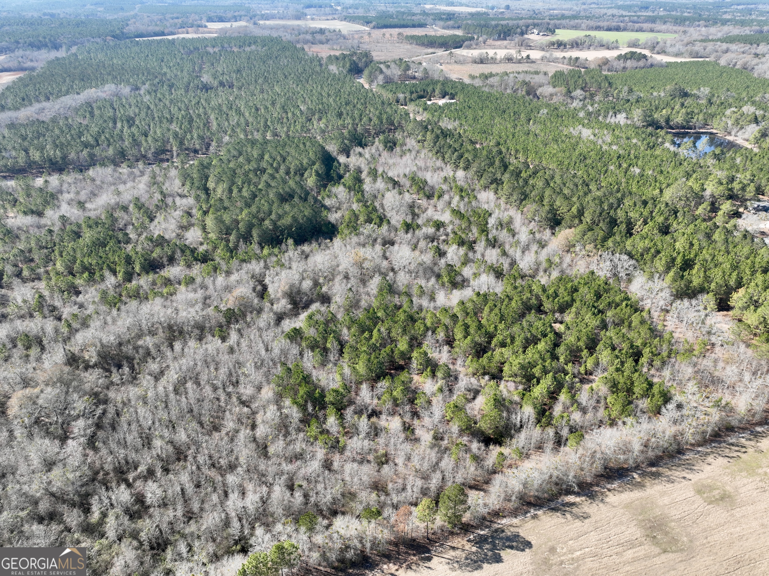 0 NORTH Shady Grove Road Abbeville, GA 31001 - Photo 5 of 21 a view of a field with a tree