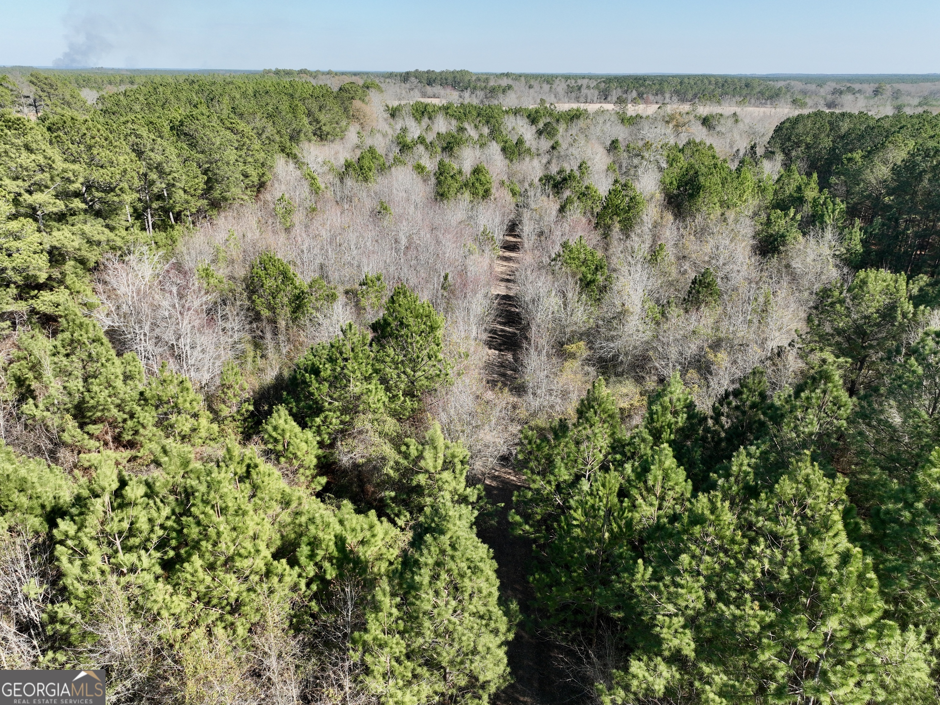 0 NORTH Shady Grove Road Abbeville, GA 31001 - Photo 7 of 21 a view of a green field