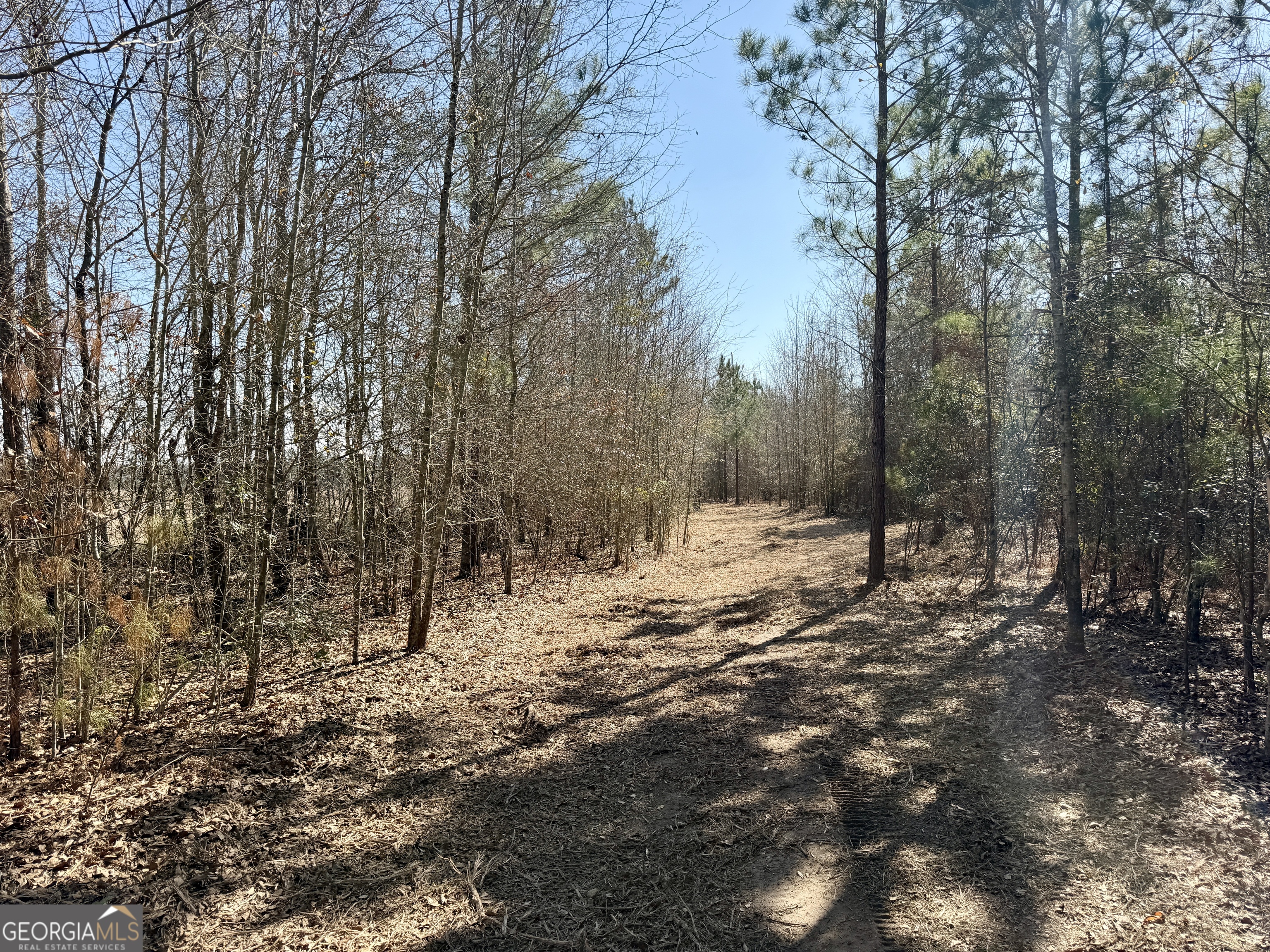 0 NORTH Shady Grove Road Abbeville, GA 31001 - Photo 8 of 21 a view of a snow in the yard