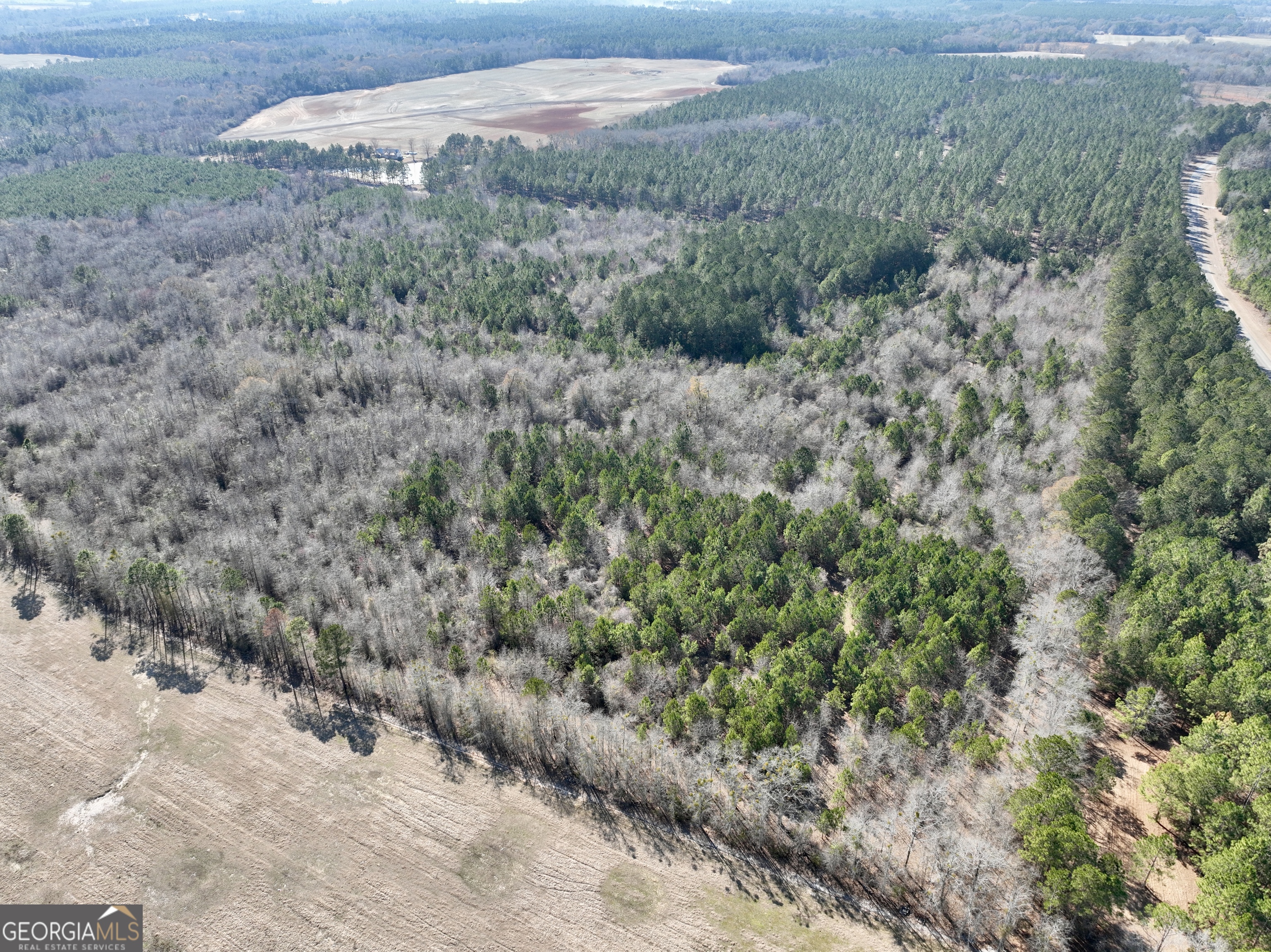 0 NORTH Shady Grove Road Abbeville, GA 31001 - Photo 10 of 21 a view of a road with a yard