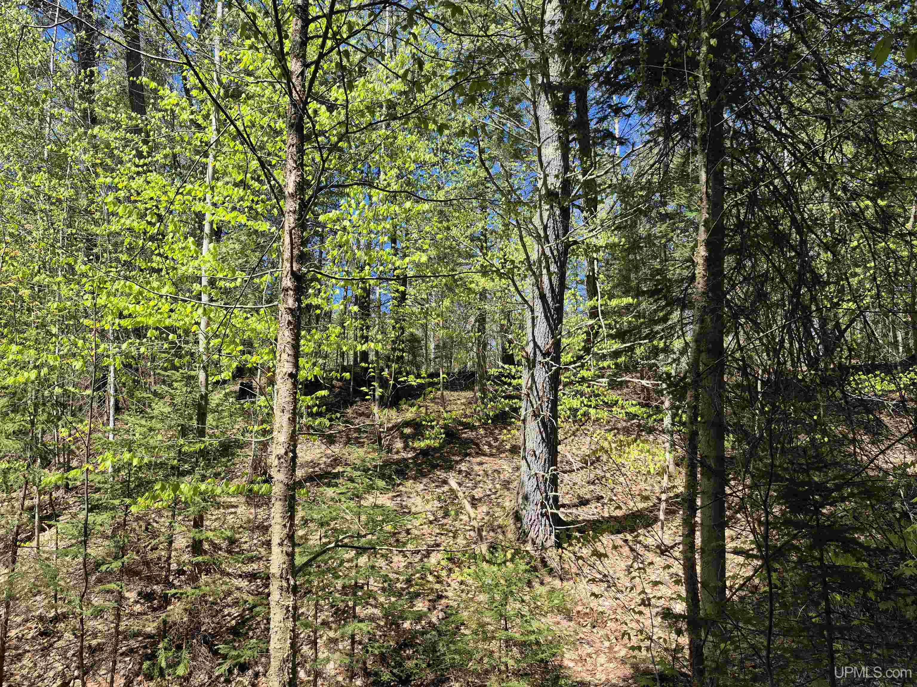 South 8-acres Perch Lake Road Munising, MI 49862 - Photo 19 of 44 Gallery Image 19