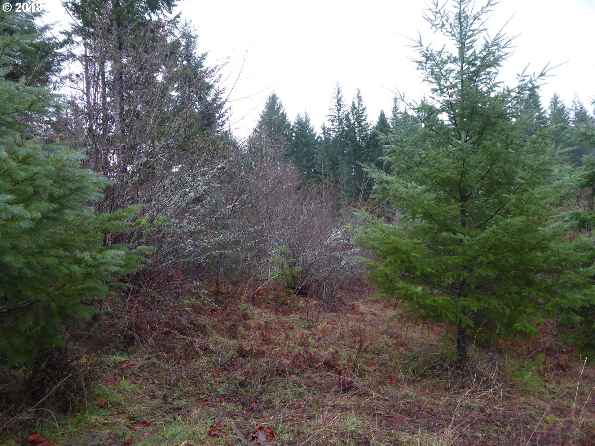 Kootenai Road, Unit 2 Carson, WA 98610 - Photo 1 of 4 Gallery Image 1