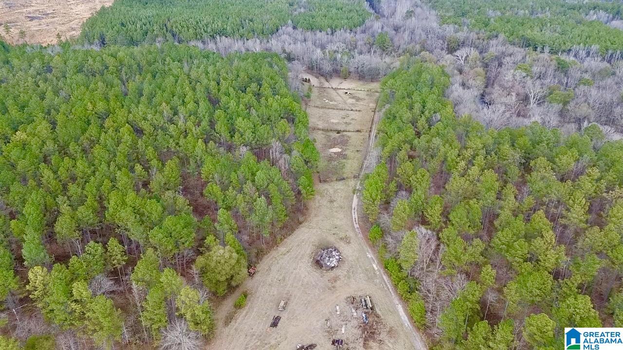 576 Gunlock Street Montevallo, AL 35115 - Photo 57 of 76