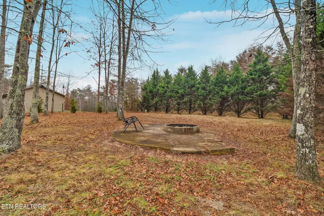 a view of a lake with large trees
