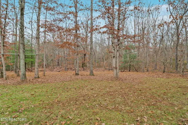 a view of lake and mountain