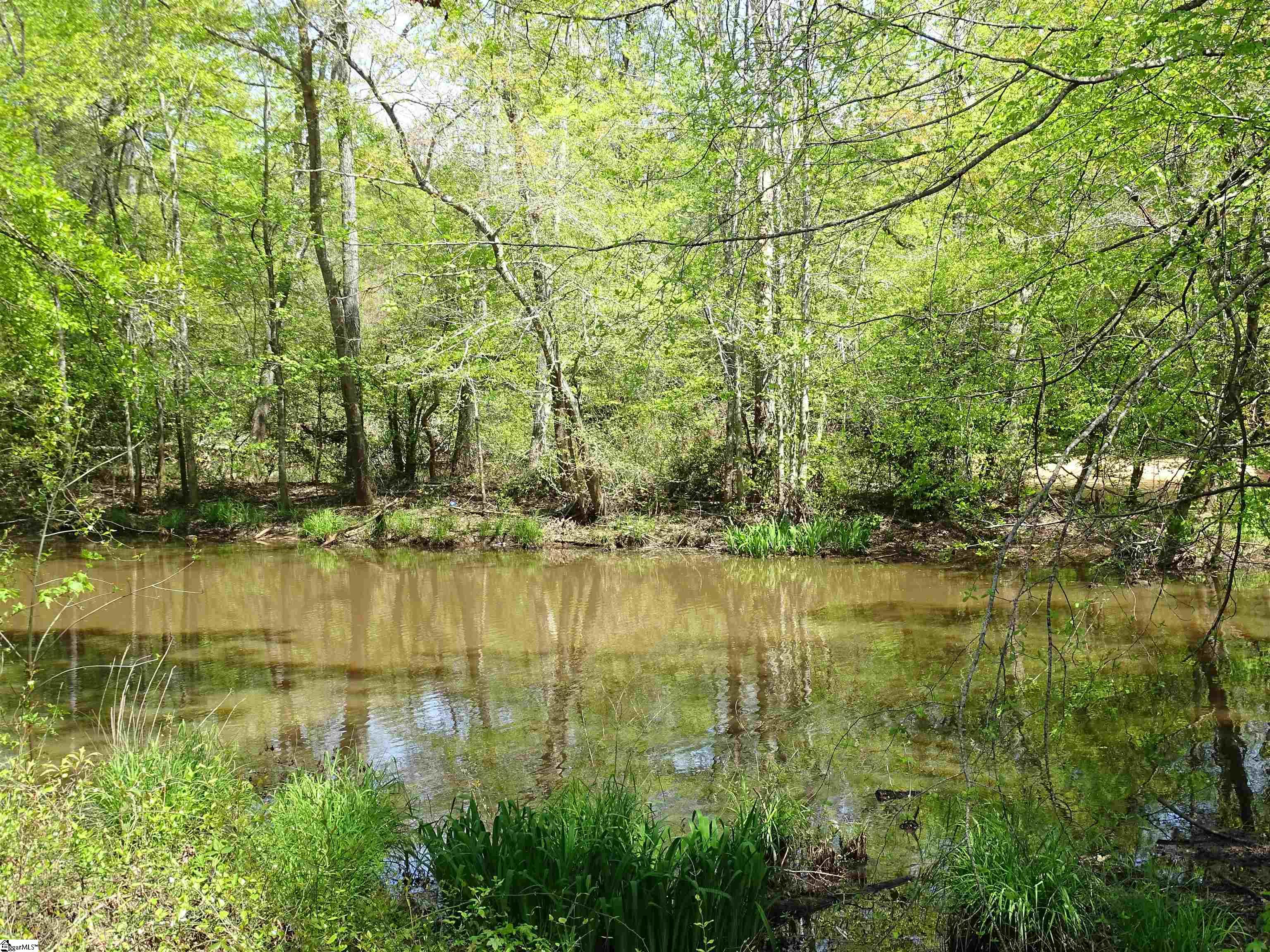 101 North Celestial Drive Greer, SC 29651 - Photo 21 of 25
