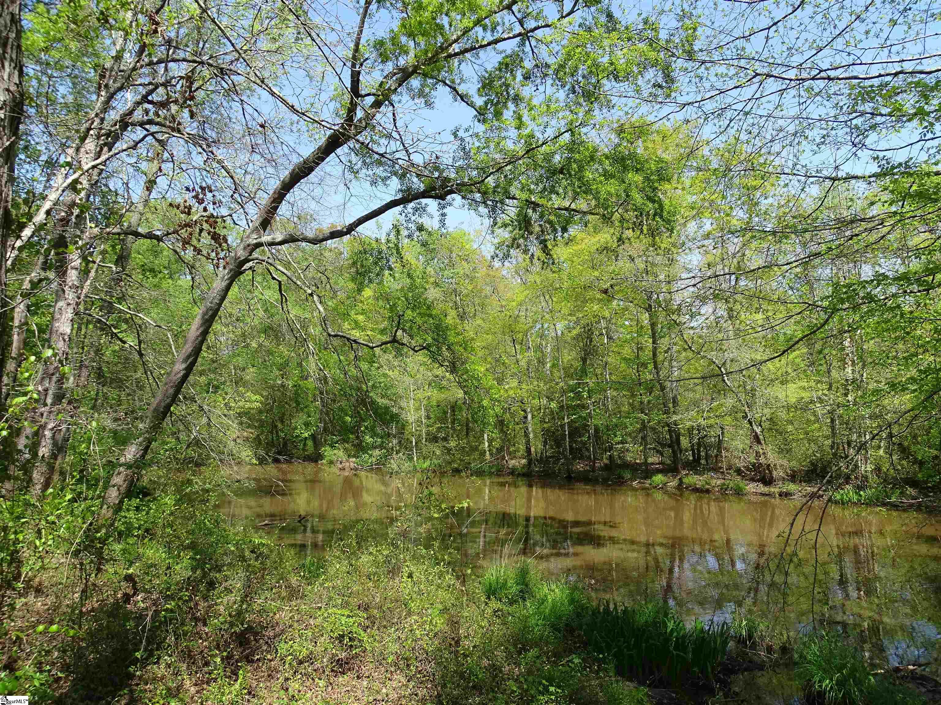 101 North Celestial Drive Greer, SC 29651 - Photo 23 of 25