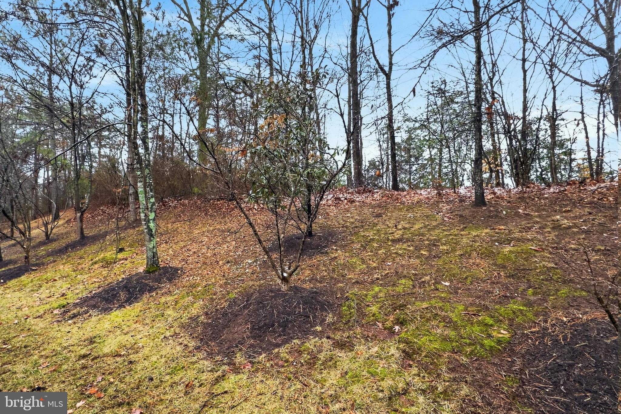 9725 Cheshire Ridge Circle Manassas, VA 20110 - Photo 62 of 63