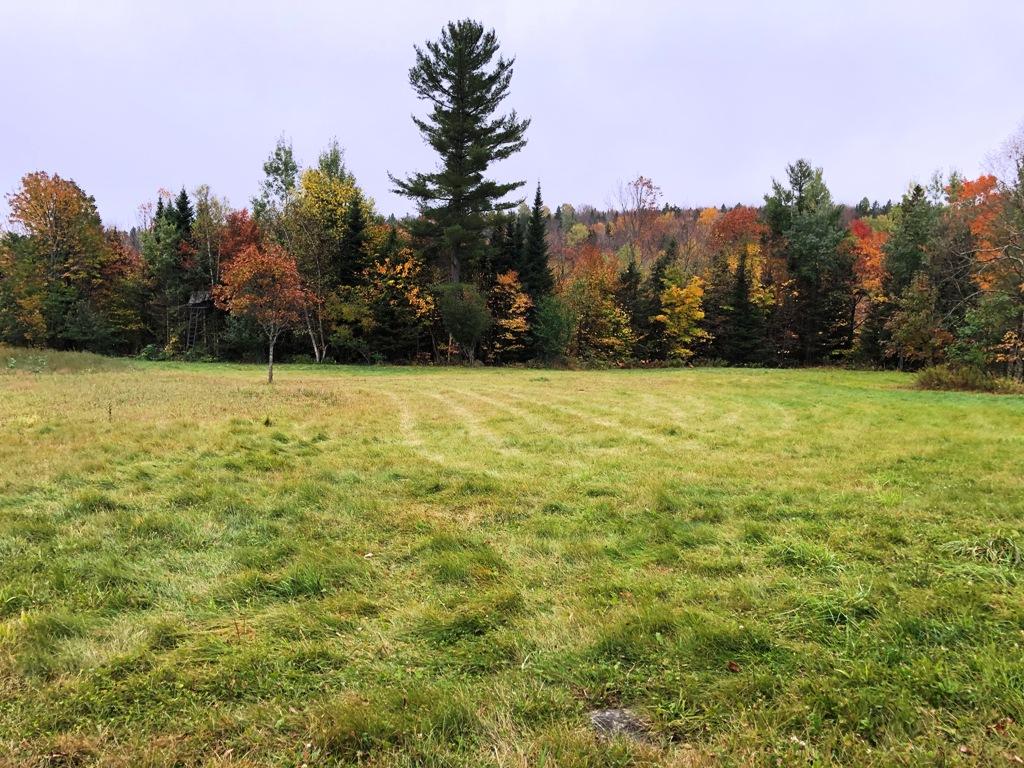 10-1-2 Doughty Pond Road Monson, ME 04464 - Photo 12 of 14 IMG_2576