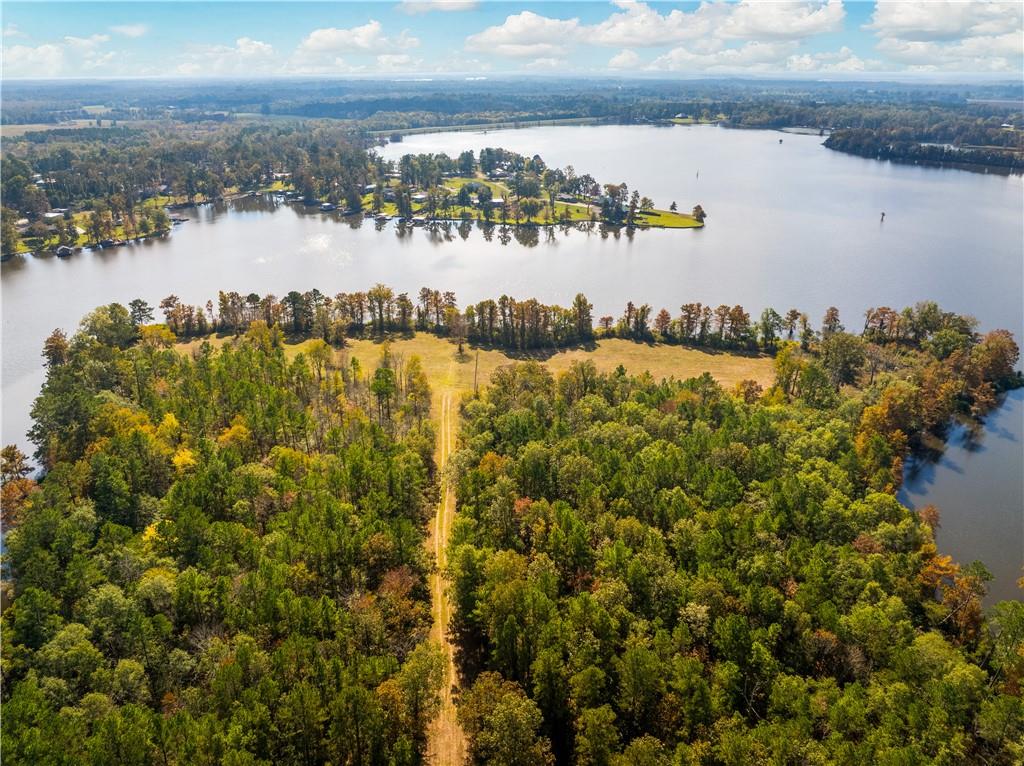 0 Nantachie Lake Road Montgomery, LA 71454 - Photo 11 of 21