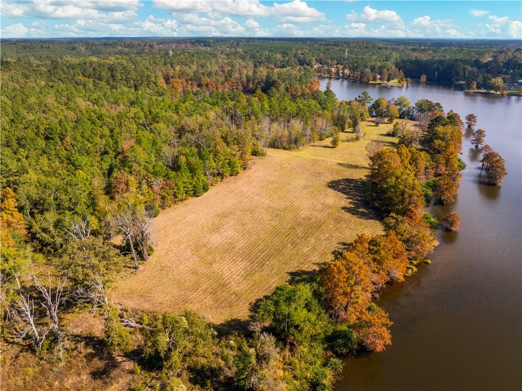 0 Nantachie Lake Road Montgomery, LA 71454 - Photo 14 of 21