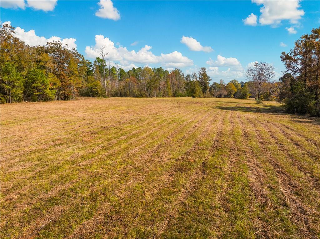 0 Nantachie Lake Road Montgomery, LA 71454 - Photo 17 of 21