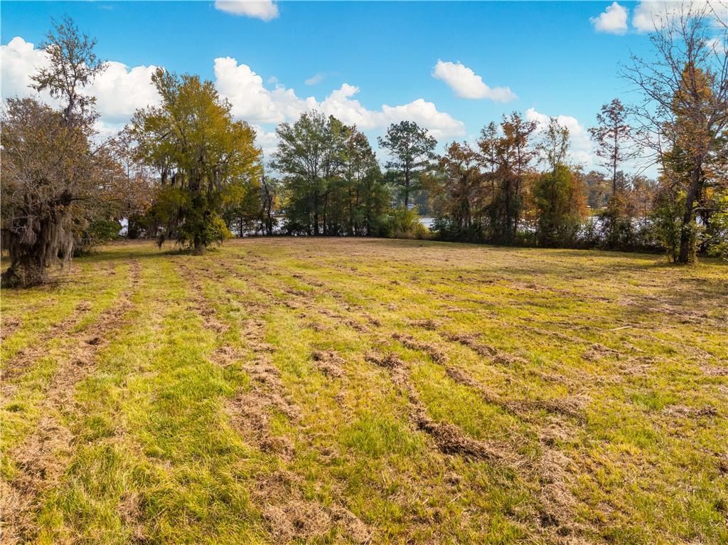 0 Nantachie Lake Road Montgomery, LA 71454 - Photo 18 of 21