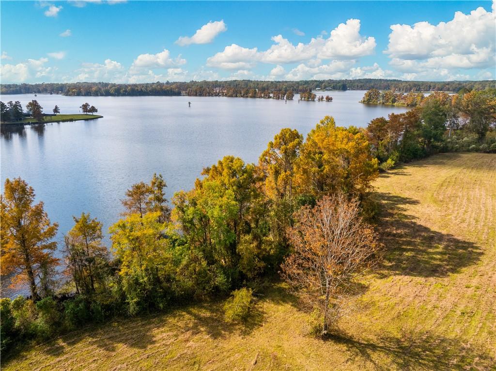 0 Nantachie Lake Road Montgomery, LA 71454 - Photo 19 of 21