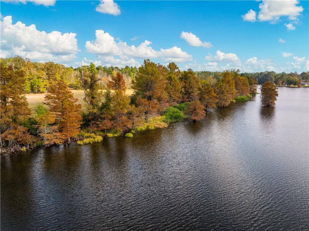 0 Nantachie Lake Road Montgomery, LA 71454 - Photo 20 of 21