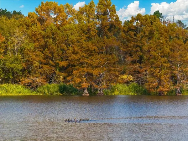 $265,000 | 0 Nantachie Lake Road, Montgomery, LA 71454