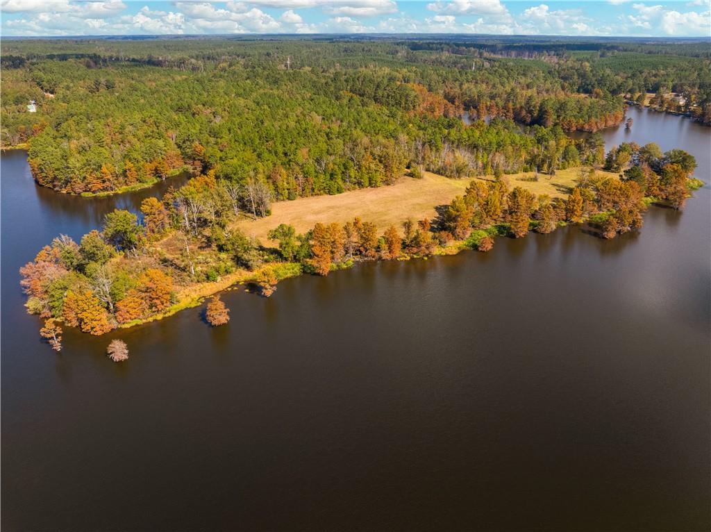 0 Nantachie Lake Road Montgomery, LA 71454 - Photo 7 of 21