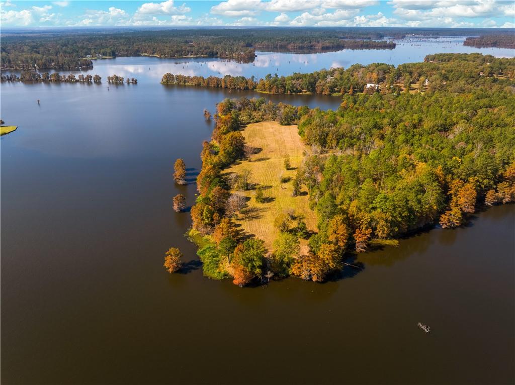 0 Nantachie Lake Road Montgomery, LA 71454 - Photo 9 of 21