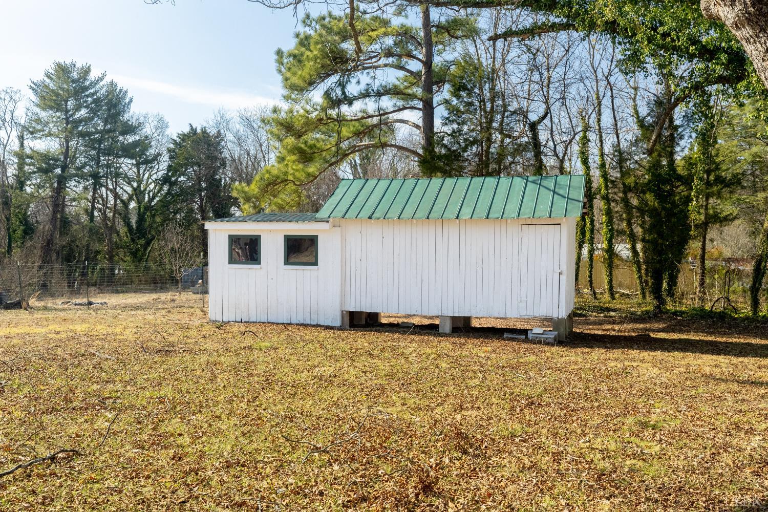211 Cook Avenue Brookneal, VA 24528 - Photo 49 of 50 a view of a house with a yard and tree