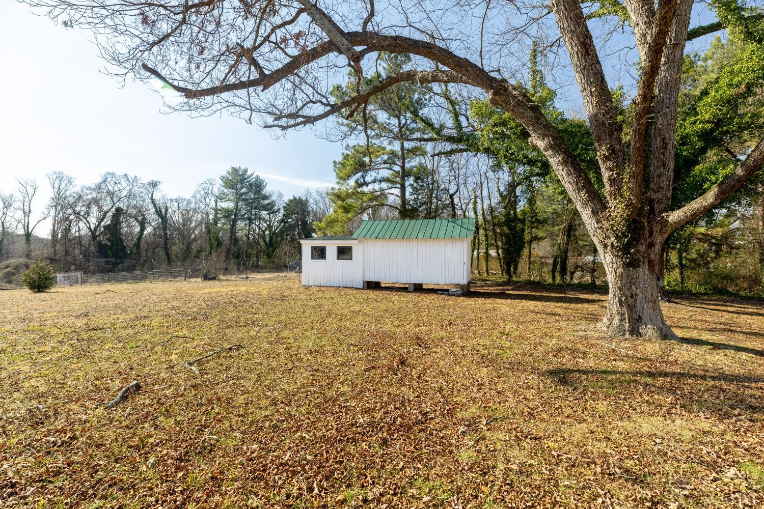 211 Cook Avenue Brookneal, VA 24528 - Photo 50 of 50 a backyard of a house with lots of green space
