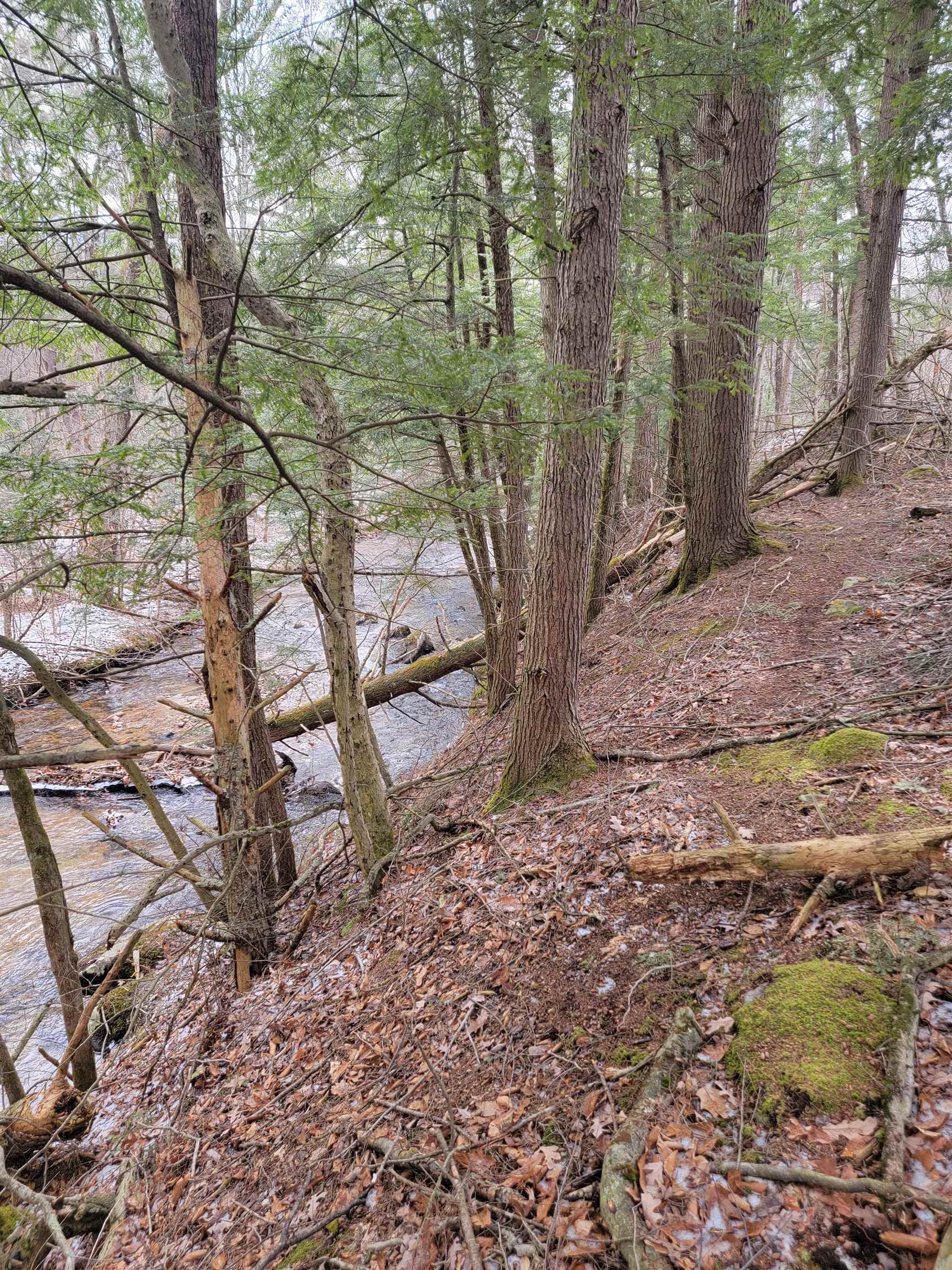 80 Crossover Road Bennington, VT 05201 - Photo 7 of 17 Gallery Image 7