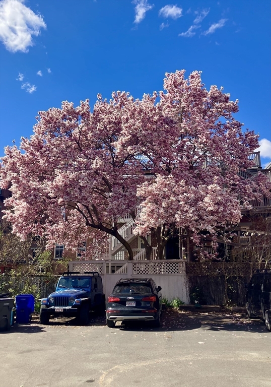 67 Broadway, Unit 1 Chelsea, MA 02150 - Photo 15 of 17 a car parked in front of a house