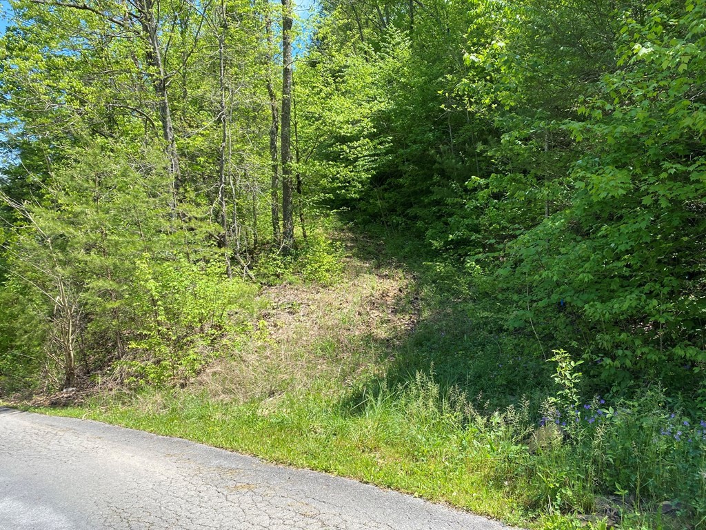 0 Little Cove Road Sevierville, TN 37862 - Photo 2 of 4