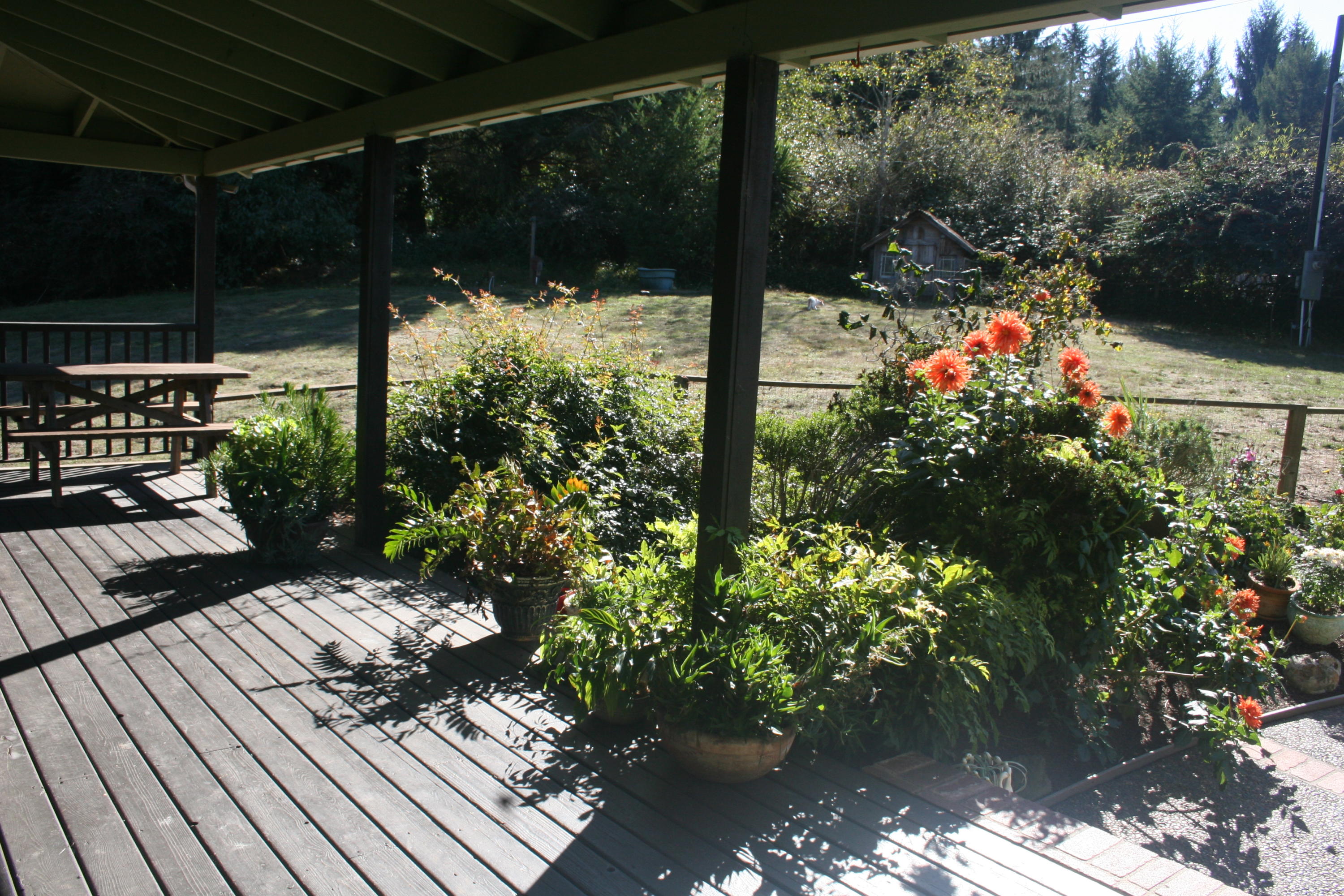 159 Hammer Lane Arcata, CA 95521 - Photo 4 of 40 Front covered porch view