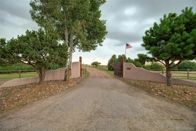 a view of a yard with plants and trees