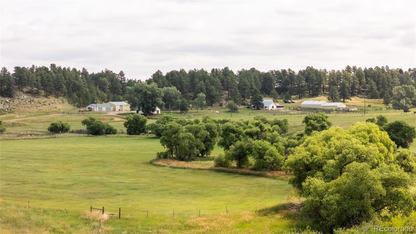 11503 East Smith Road Elbert, CO 80106 - Photo 2 of 44 a view of a lake with a yard