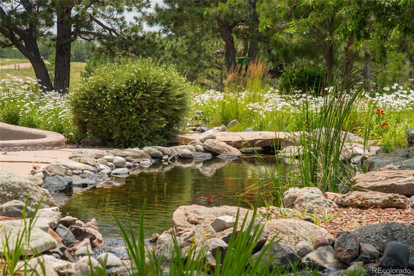 11503 East Smith Road Elbert, CO 80106 - Photo 38 of 44 a view of lake view