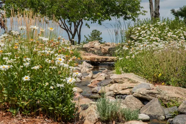 a front view of house with yard and trees around