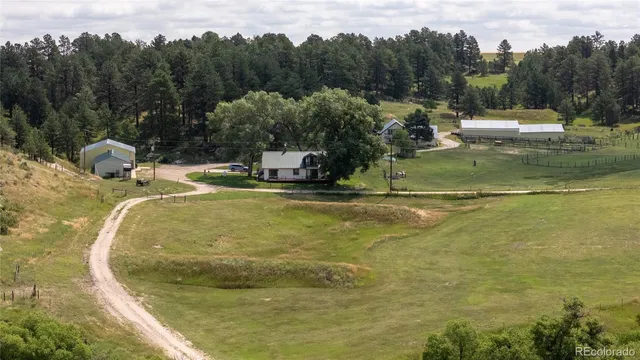 a view of a swimming pool with a yard and trees in the background