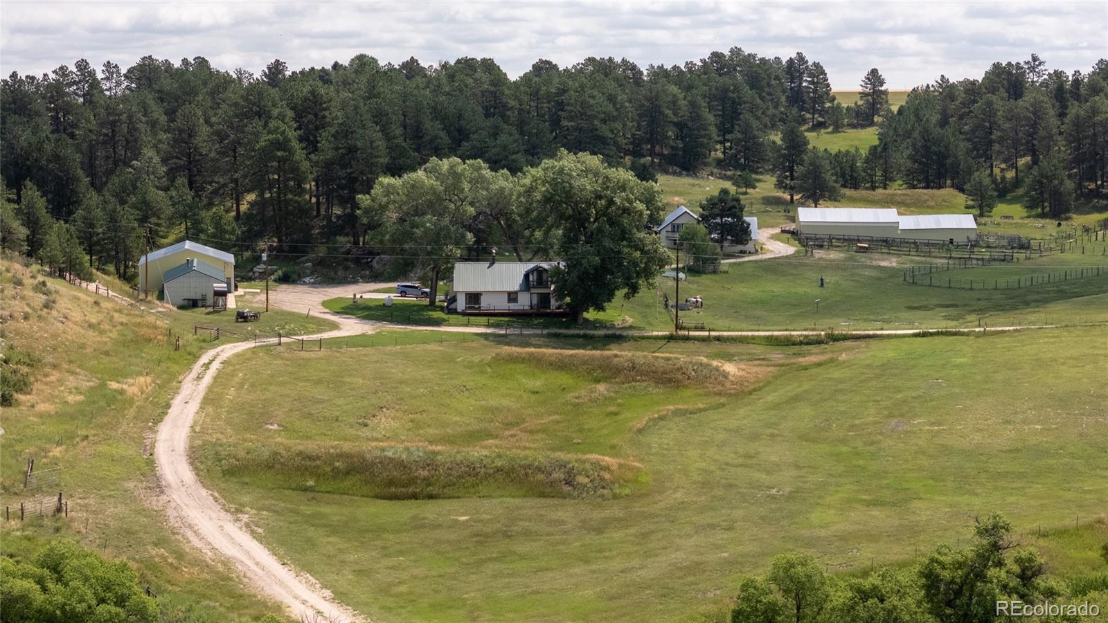 11503 East Smith Road Elbert, CO 80106 - Photo 4 of 44 a view of a swimming pool with a yard and trees in the background