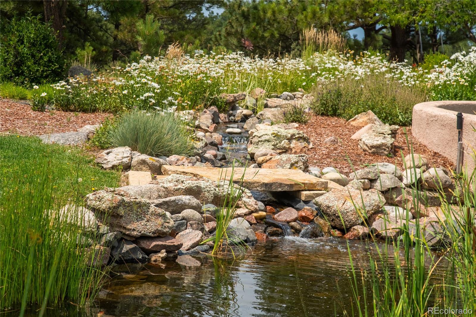 11503 East Smith Road Elbert, CO 80106 - Photo 42 of 44 a picture of lake view