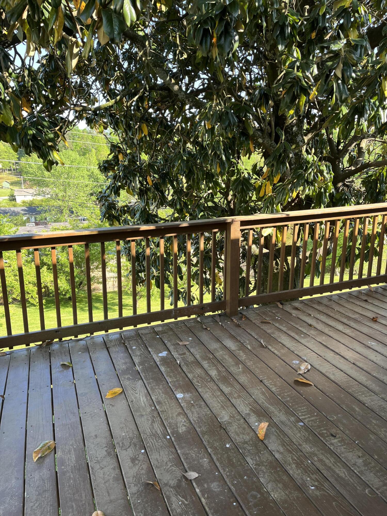 626 Ely Road Chattanooga, TN 37415 - Photo 6 of 15 IMG_8243