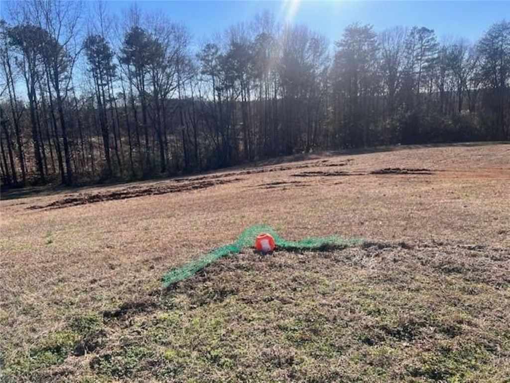 548 A Blackjack Road Westminster, SC 29693 - Photo 12 of 15 Gallery Image 12