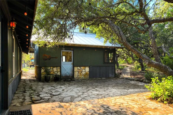 a view of a yard with plants and a large tree