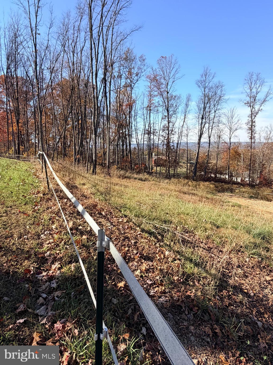 453 Upper Bailey Road Newport, PA 17074 - Photo 28 of 31 a view of a yard with an tree