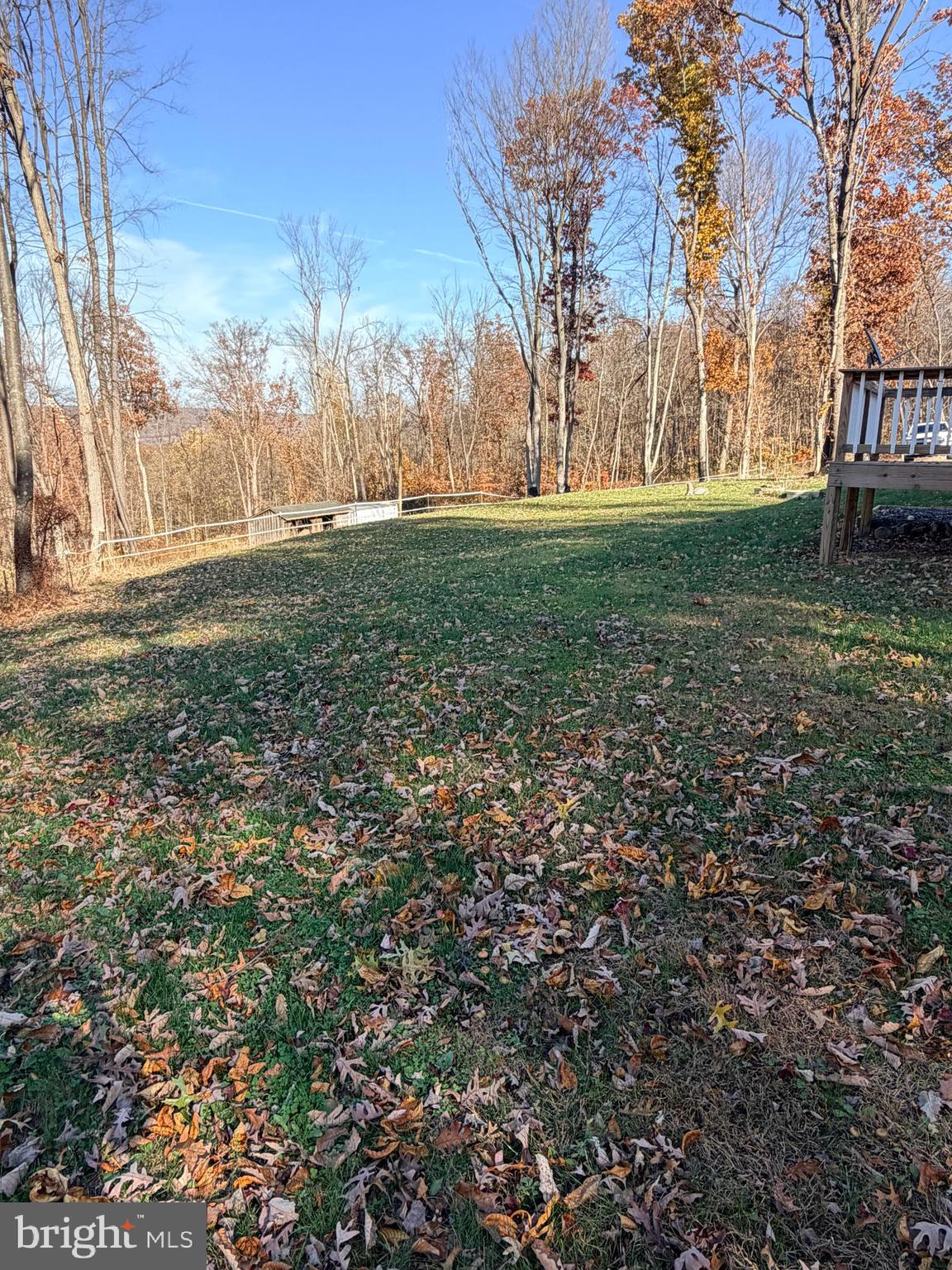 453 Upper Bailey Road Newport, PA 17074 - Photo 5 of 31 a view of yard with trees