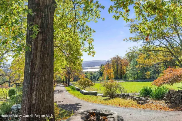 a view of a garden with a tree