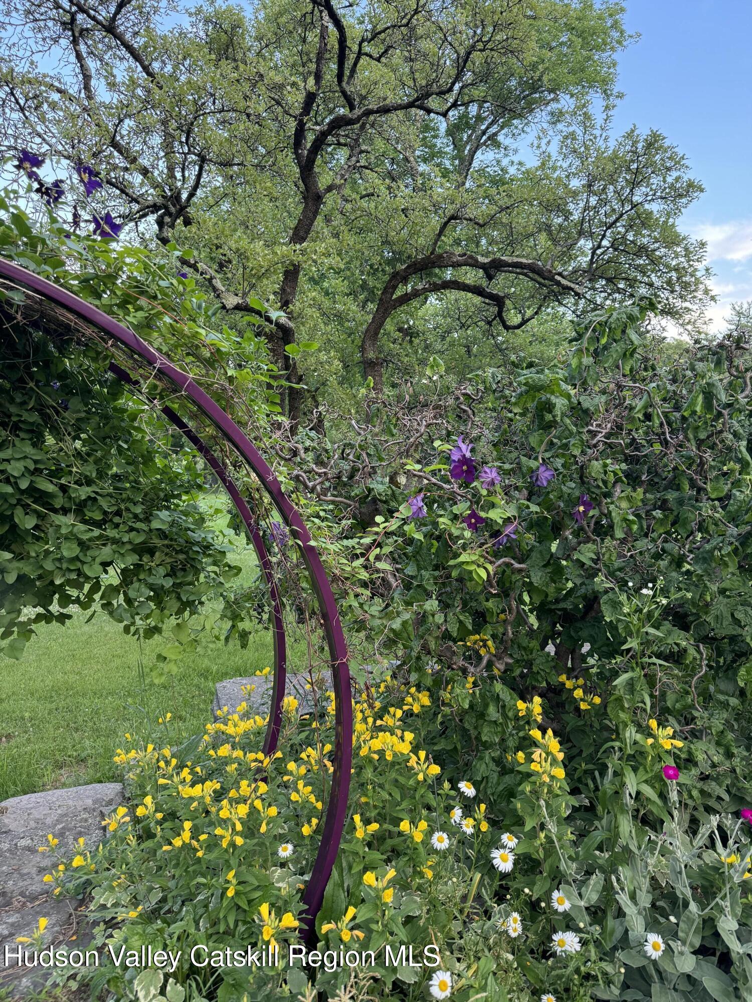 114 Chase Road Shokan, NY 12481 - Photo 62 of 68 a picture of a tree