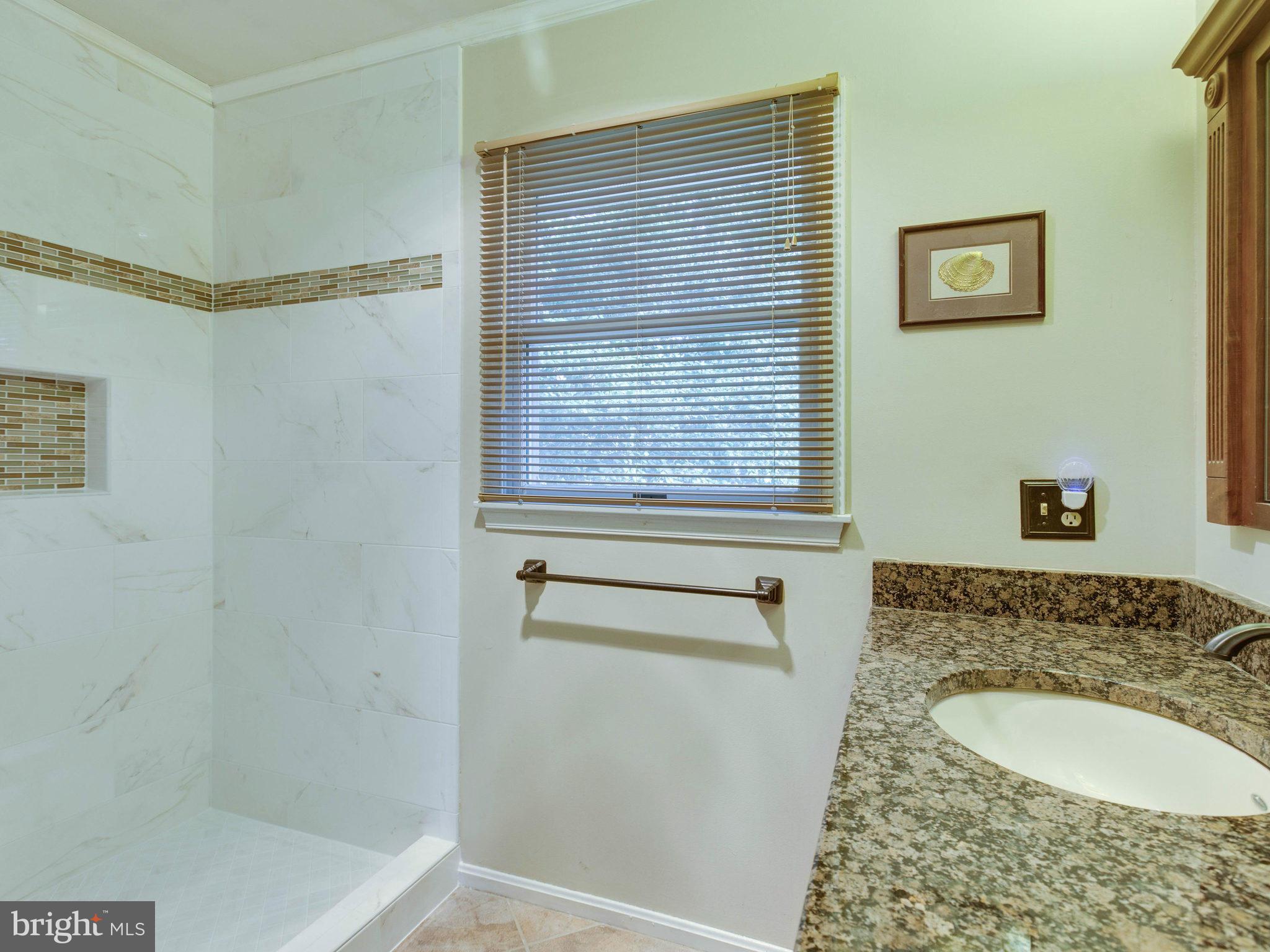 6776 Little Falls Road Arlington, VA 22213 - Photo 22 of 30 Bath (Master)