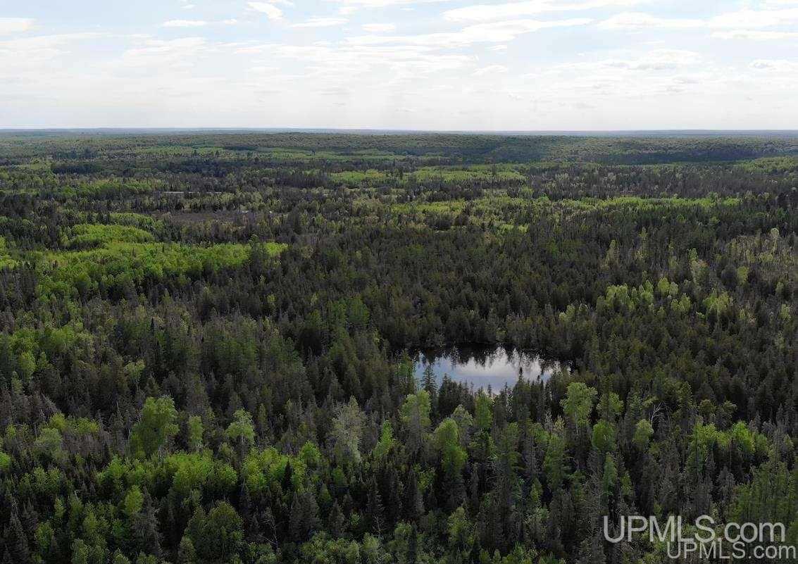 Tbd Off Triangle Ranch Road Amasa, MI 49903 - Photo 5 of 18