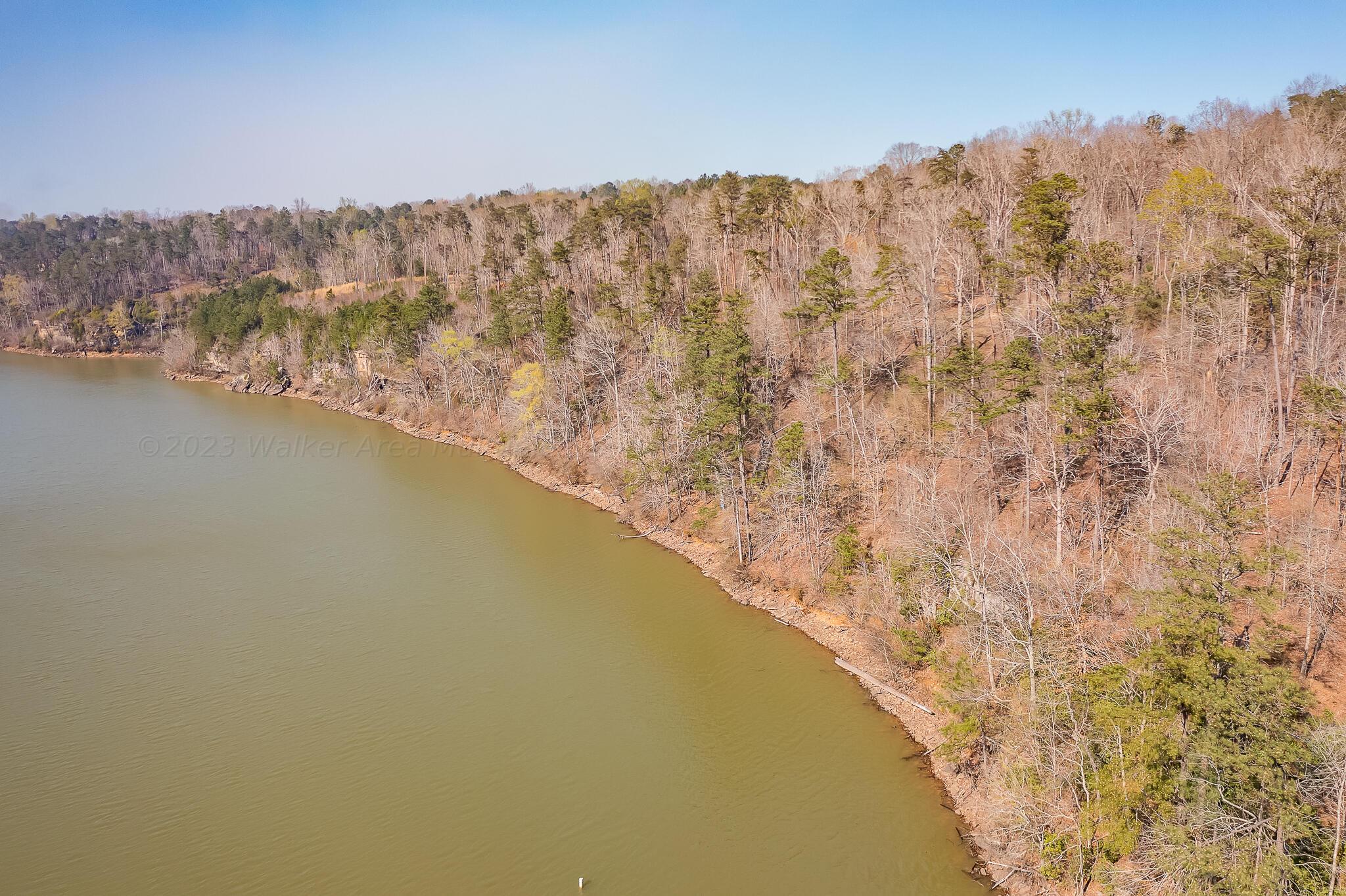 Lot 4 Poplar Ridge Cordova, AL 35550 - Photo 10 of 10 Gallery Image 10