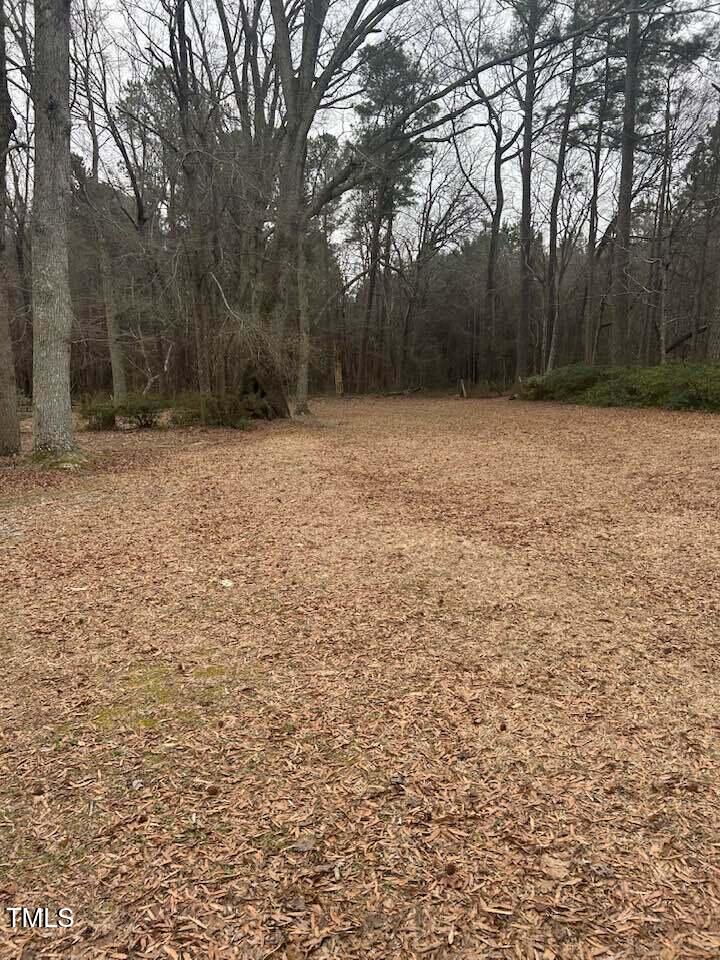 391 Jordan Narron Road Selma, NC 27576 - Photo 42 of 45 New Jor Nar.jpg7