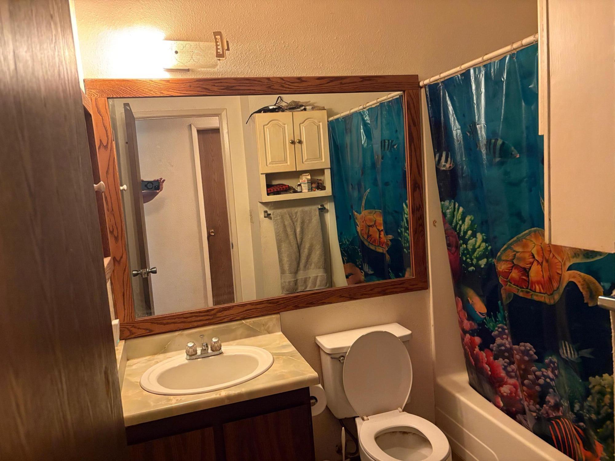 20194 Sugar Pine Street Burney, CA 96013 - Photo 14 of 15 a bathroom with a sink toilet and shower