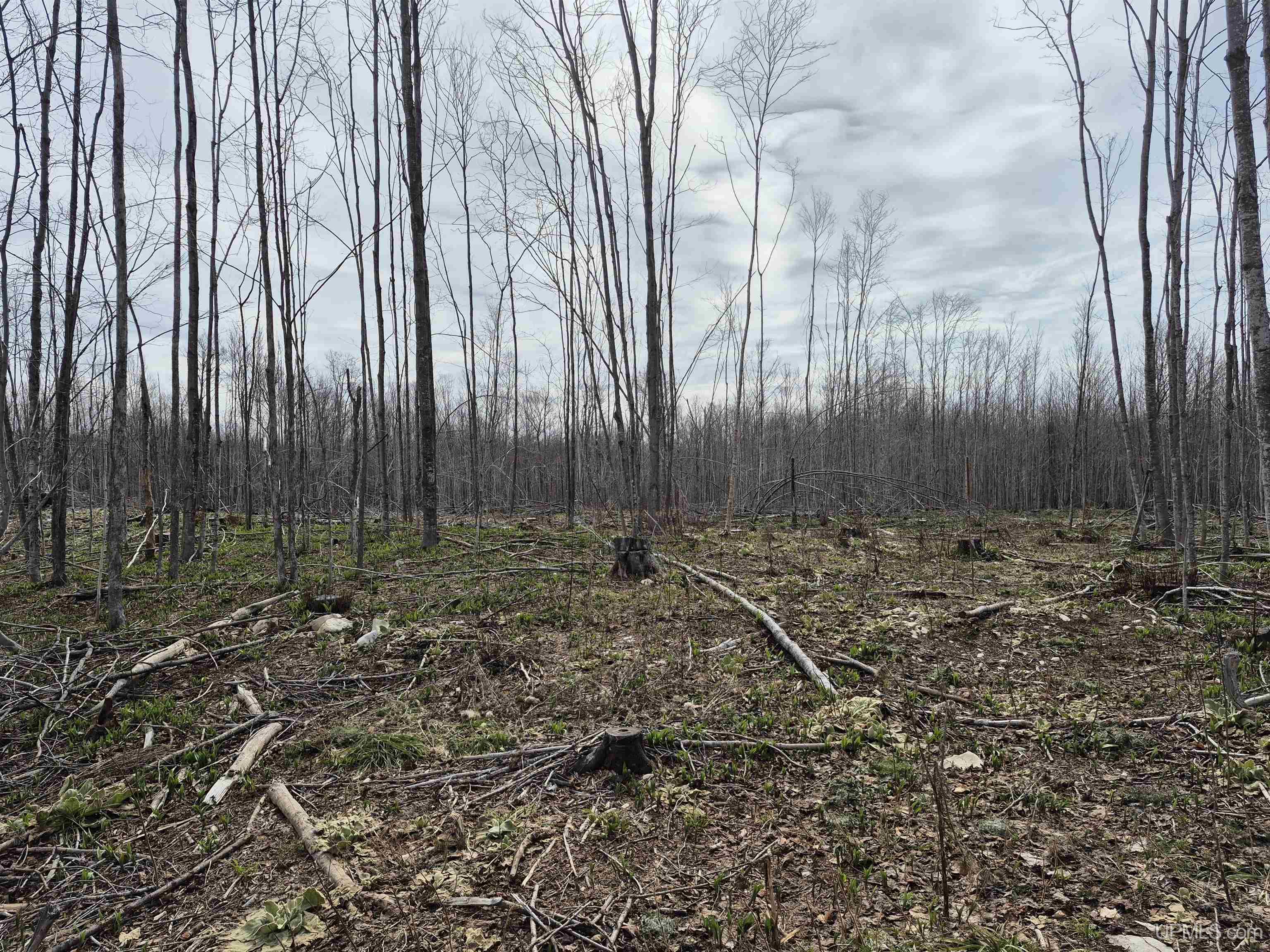 East 20 Quarry Road Gulliver, MI 49840 - Photo 16 of 47