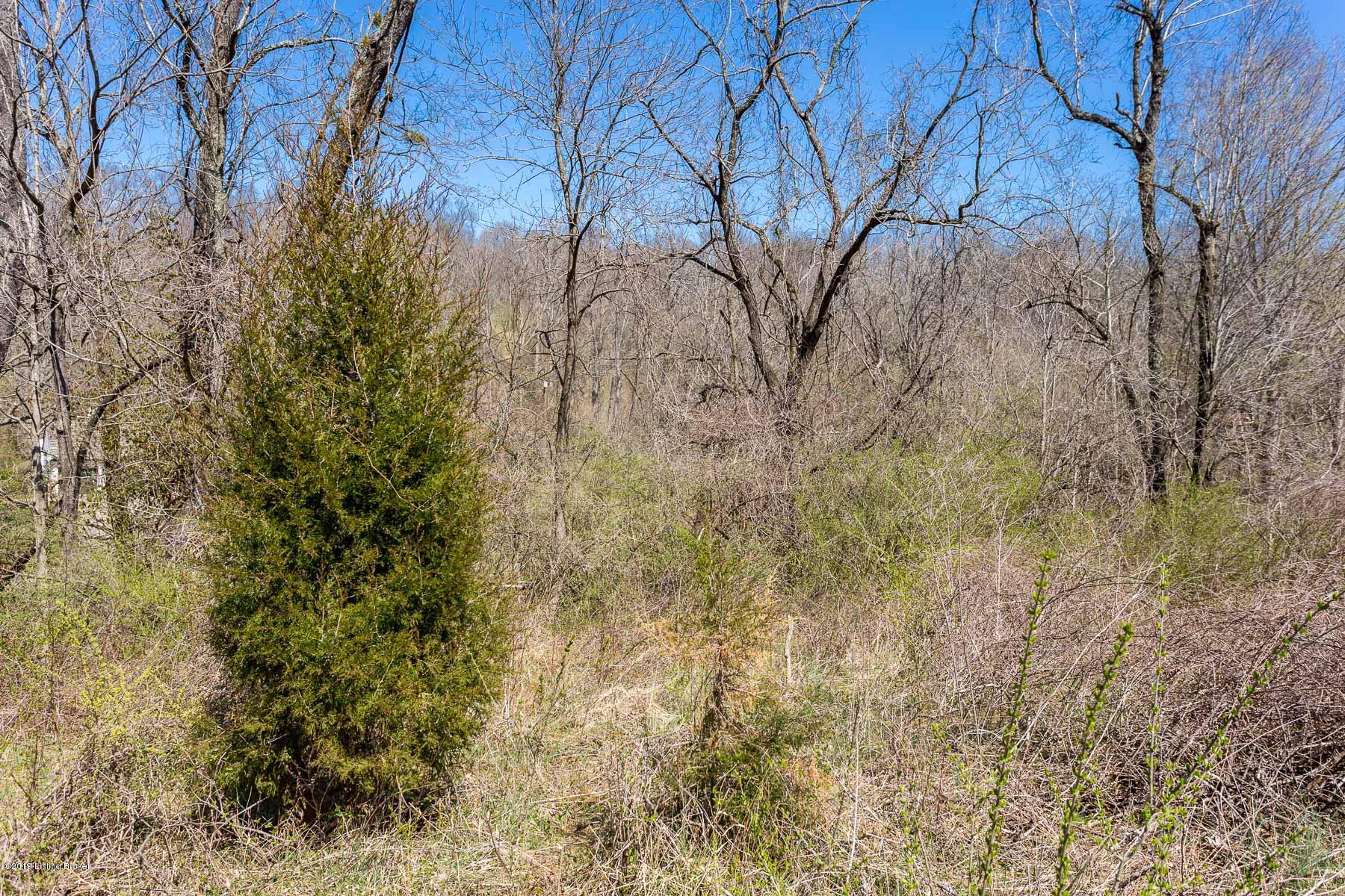 73 Westwind Road Louisville, KY 40207 - Photo 19 of 20 Grounded View